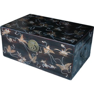 Black Leather Butterflies Chinese Trunk
