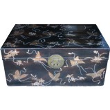 Black Leather Butterflies Chinese Trunk