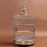 Gold 45 cm Stainless Steel Bird Cage